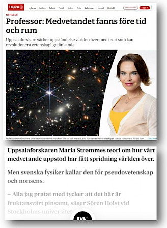 Sk&auml;rmbilder fr&aring;n Dagen och DN p&aring; webben